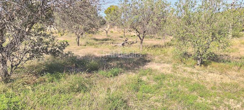 Foto ae96d2ae-97dc-4a32-b9cb-c1614eab2bc7. House in camino de la colomina 4 in Cañada del Fenollar Alicante