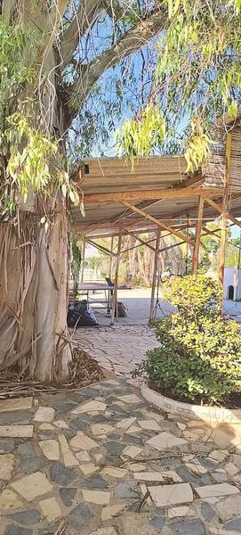 Foto 56ae762b-37eb-47be-8e1d-0c54b03c9b0e. Maison dans camino de la colomina 4 dans Cañada del Fenollar Alicante