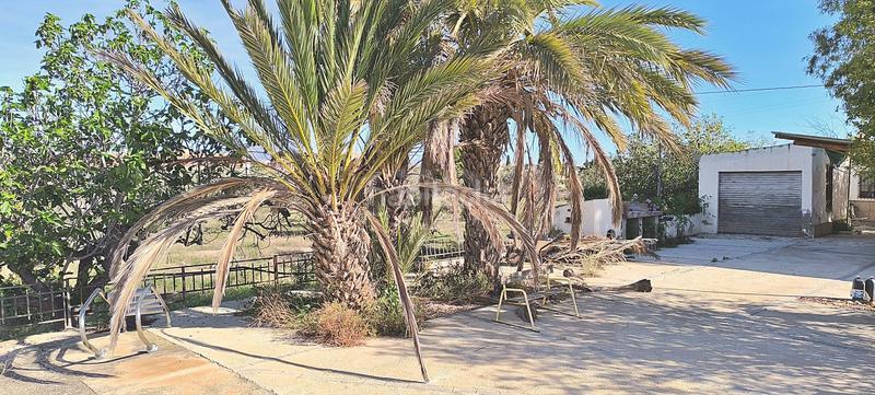 Foto b712a801-7c21-4717-936b-e756f8808d05. Maison dans camino de la colomina 4 dans Cañada del Fenollar Alicante