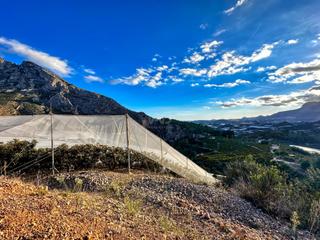 Fondo rustico in Callosa d´en Sarrià