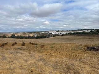 Rural plot in Bonares
