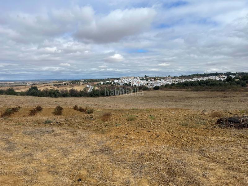 Foto 7fd94c64-17ab-4e1f-a708-8d69f0fbef00. Finca rústica a Bonares