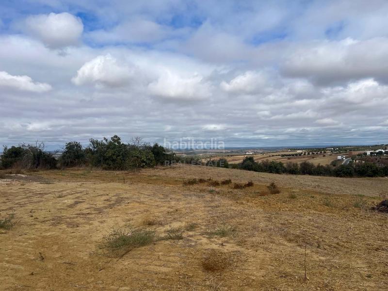 Foto aea15e0b-820a-4b51-85f8-682bce2020fb. Finca rústica a Bonares