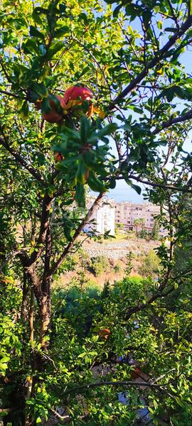 Foto 581b9099-255e-4609-81d5-68c9f5c9ce46. Terreny residencial a Cotomar Rincón de la Victoria