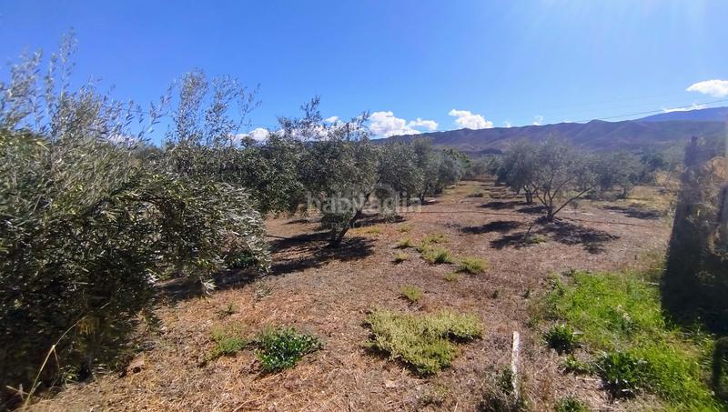 Foto 08fef0f1-431c-46c8-b829-2d9004cf505e. Casa en Tabernas