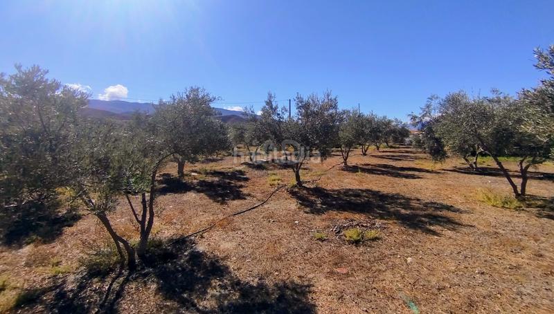 Foto 0021f69a-3a0d-4f71-9834-ee8fdff1d4d4. Maison dans Tabernas