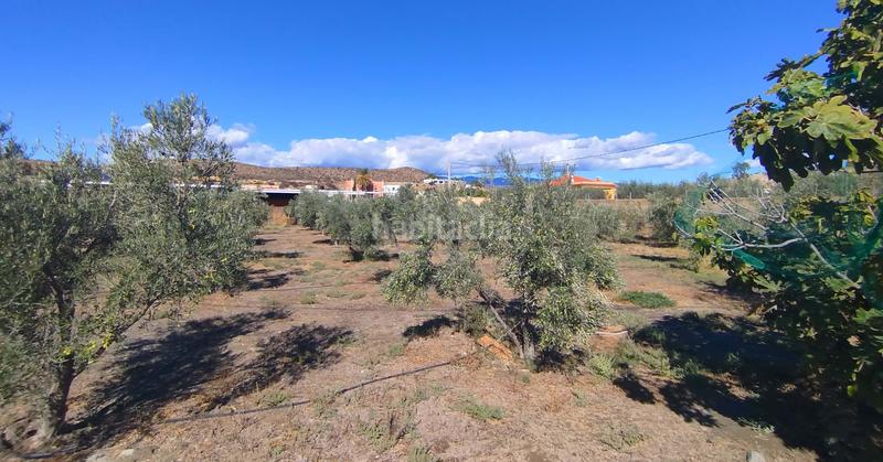 Foto 964a9b93-a5c5-4006-8744-59f880448837. Maison dans Tabernas