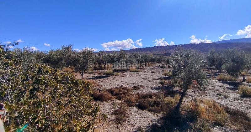 Foto d6ad65ee-7037-418d-9496-cf9675462005. Maison dans Tabernas