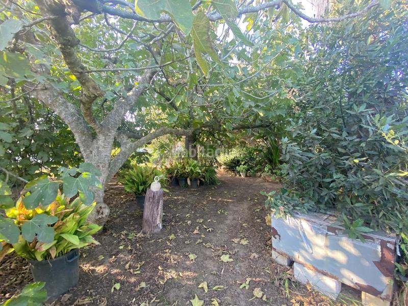 Foto 12ec48f6-bb1c-4ecb-bf9b-419abe5128ff. Casa en Pelagatos - Pago del Humo Chiclana de la Frontera