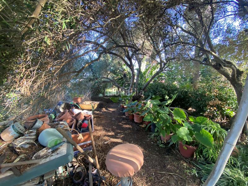 Foto 2639df0e-4919-4f3e-a1be-36b76013587a. Casa en Pelagatos - Pago del Humo Chiclana de la Frontera