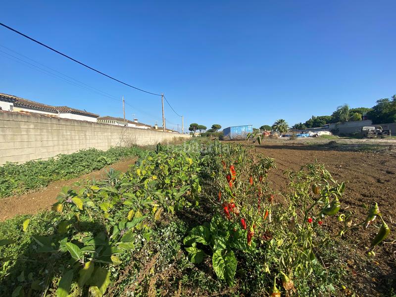 Foto ab048730-e514-4d00-83ba-85df2109d678. Casa en Pelagatos - Pago del Humo Chiclana de la Frontera