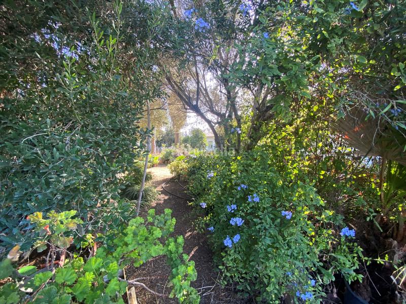 Foto d1ef2a72-e712-4691-96f7-540caa407129. Casa en Pelagatos - Pago del Humo Chiclana de la Frontera
