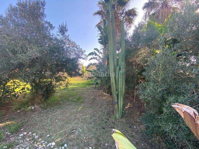 Foto bc8d2bef-9bf3-4925-97ce-3a15b3d5de2d. Haus mit heizung in Pelagatos - Pago del Humo Chiclana de la Frontera