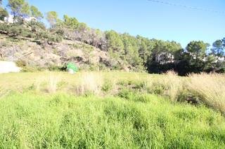 Rural plot in Atzúbia (L´)