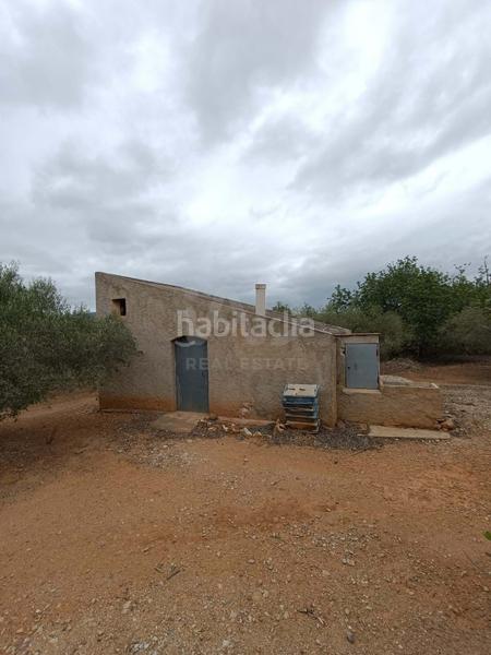 Foto 19235a74-3a13-48c0-8f5d-ed49eb998c82. Terrain résidentiel dans camino poligono 130 parcela 3 130 130 dans Ampolla (L´)