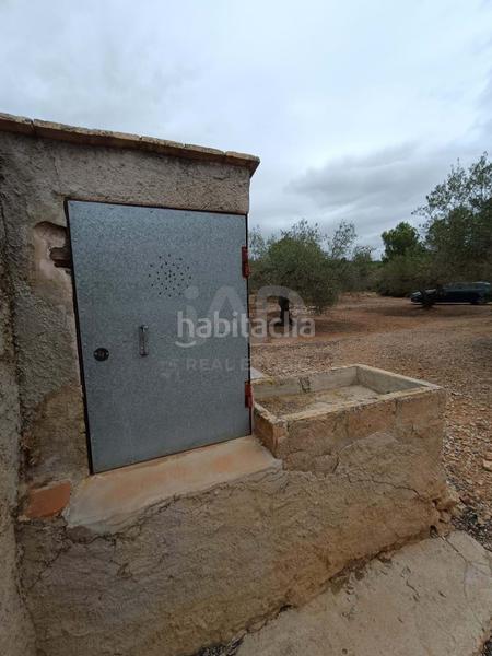 Foto 27233b76-a836-4c72-9a21-2cd458f3e5d4. Terrain résidentiel dans camino poligono 130 parcela 3 130 130 dans Ampolla (L´)