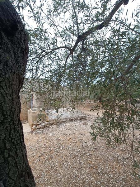 Foto 490d88bc-c5fa-4a86-8772-5e4db07598da. Terrain résidentiel dans camino poligono 130 parcela 3 130 130 dans Ampolla (L´)