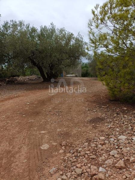 Foto 986ef35a-7aa5-44a0-b9d5-da7070cc8bdc. Terrain résidentiel dans camino poligono 130 parcela 3 130 130 dans Ampolla (L´)