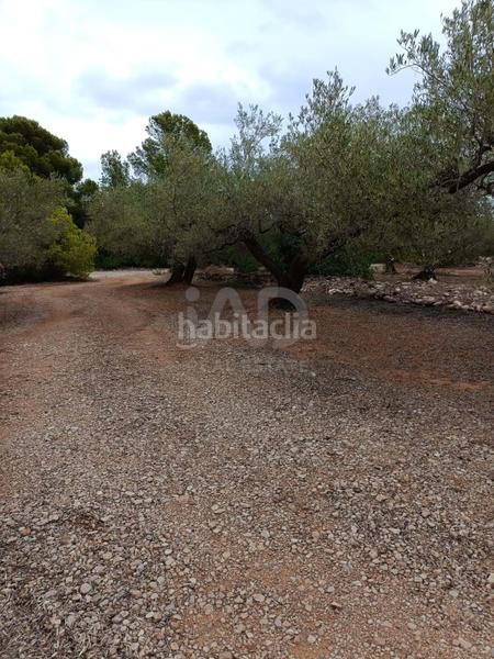 Foto a6230cb4-b700-42fd-a2ed-f994553a5a52. Terrain résidentiel dans camino poligono 130 parcela 3 130 130 dans Ampolla (L´)