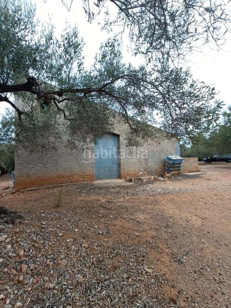 Foto a9db4d8d-6301-4519-bf91-be5438b56b6e. Terrain résidentiel dans camino poligono 130 parcela 3 130 130 dans Ampolla (L´)