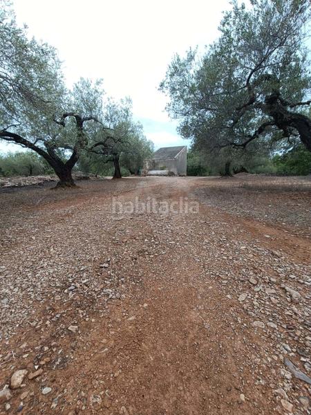 Foto bda5370b-eb0d-45e5-bbf4-9f355519e9a0. Terrain résidentiel dans camino poligono 130 parcela 3 130 130 dans Ampolla (L´)
