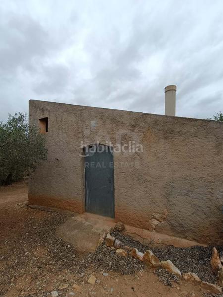 Foto d9006d39-41fd-4d8d-8ef8-36f5c87457a5. Terrain résidentiel dans camino poligono 130 parcela 3 130 130 dans Ampolla (L´)