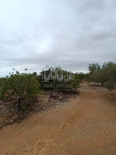 Foto e1048239-700e-4b0c-9c8f-dbff628b4009. Terrain résidentiel dans camino poligono 130 parcela 3 130 130 dans Ampolla (L´)