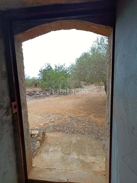 Foto e6debb56-78b0-492c-9ea1-398baaca67b2. Terrain résidentiel dans camino poligono 130 parcela 3 130 130 dans Ampolla (L´)