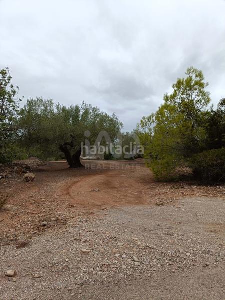 Foto edf9d7a0-9540-45ed-9222-626684947523. Terrain résidentiel dans camino poligono 130 parcela 3 130 130 dans Ampolla (L´)