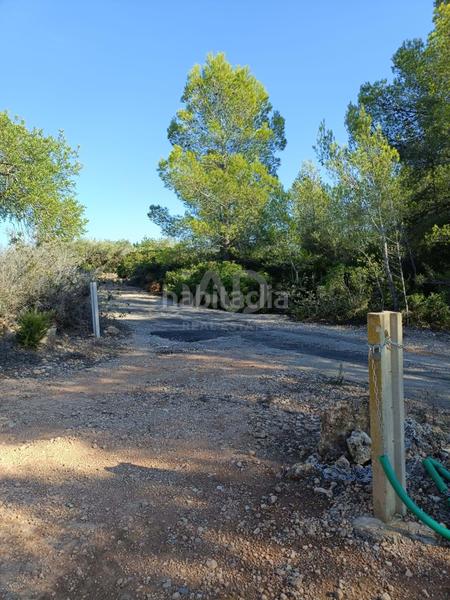 Foto 5525873e-0de2-4dcf-8801-e4f4134a9a52. Residential plot in L´Ametlla de Mar Ametlla de Mar (L´)