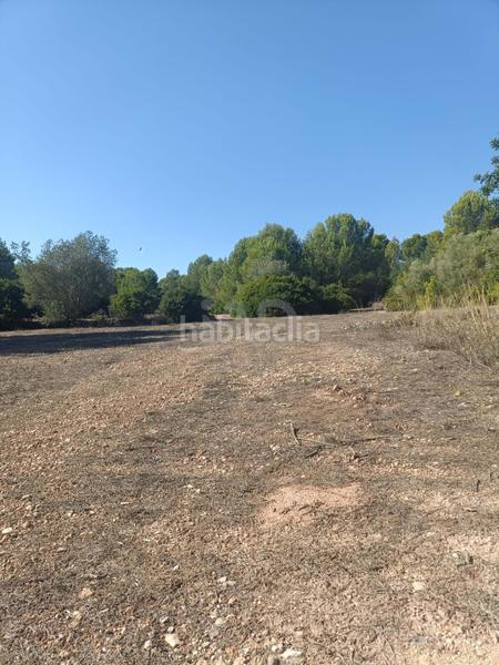 Foto 5dd789d5-d1f7-4ab6-92b1-c8514477e7a4. Residential plot in L´Ametlla de Mar Ametlla de Mar (L´)