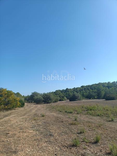 Foto 5f72db55-7987-44c4-95a8-1edb104e3a56. Residential plot in L´Ametlla de Mar Ametlla de Mar (L´)