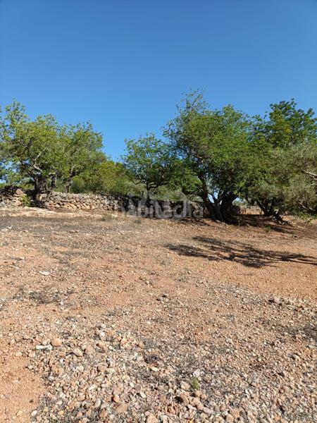 Foto b44bb3a8-9b3d-4366-9250-73ec9d31e3a9. Residential plot in L´Ametlla de Mar Ametlla de Mar (L´)