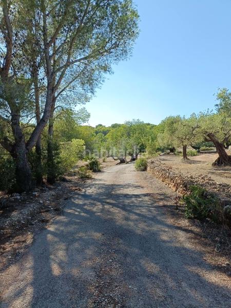 Foto fa858b2a-b79b-4b33-ad83-b91acd3cfe3f. Wohngrundstück in L´Ametlla de Mar Ametlla de Mar (L´)