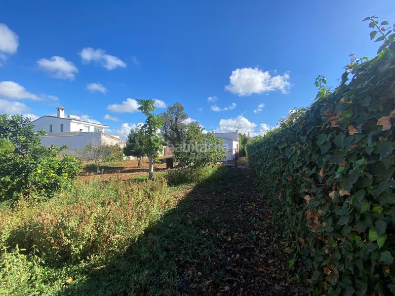 Foto 0047231c-d2be-4302-8846-08f821deccdc. Fondo rustico in Núcleo urbano Chiclana de la Frontera