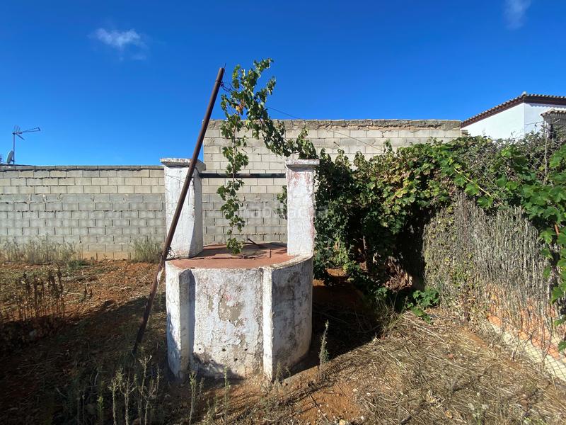 Foto 28c12ab7-43f5-47aa-9631-b7af2051e7a1. Fondo rustico in Núcleo urbano Chiclana de la Frontera