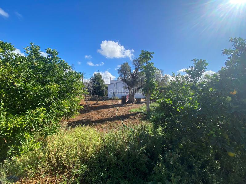 Foto 66615b59-3552-4408-b2e4-b25e5bc7e57c. Landgut in Núcleo urbano Chiclana de la Frontera