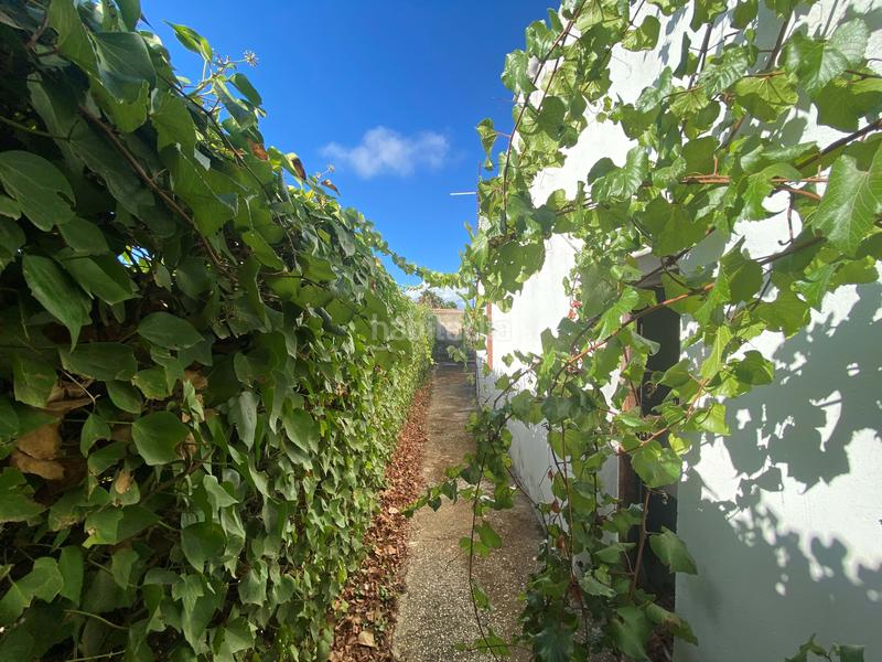 Foto b99f85fa-60df-4ada-9338-cd7782570dbd. Finca rústica en Núcleo urbano Chiclana de la Frontera