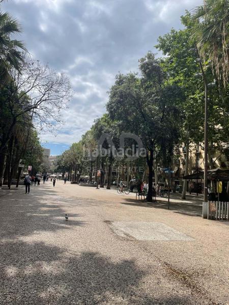 Foto e5dd2514-75a0-4dc9-96bb-f76c6c74fb62. Pis amb calefacció a Raval Barcelona