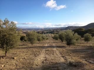 Landgut in Alamedilla