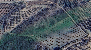 Finca rústica a Alcaucín