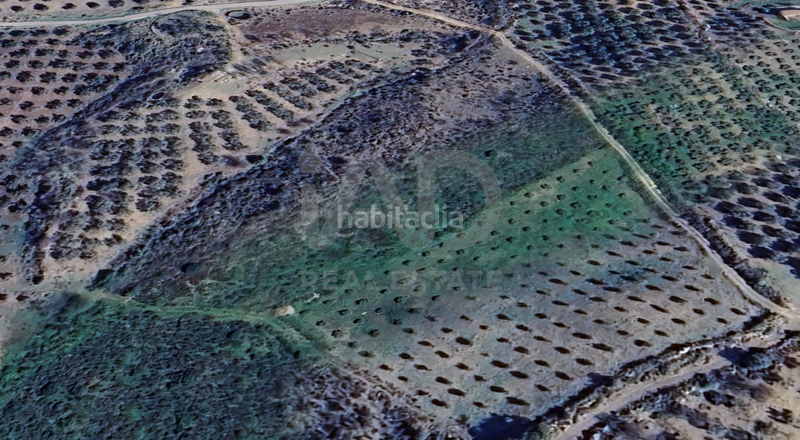 Foto d3c1c70d-da12-4210-bb1c-328710d1211b. Finca rústica en Alcaucín