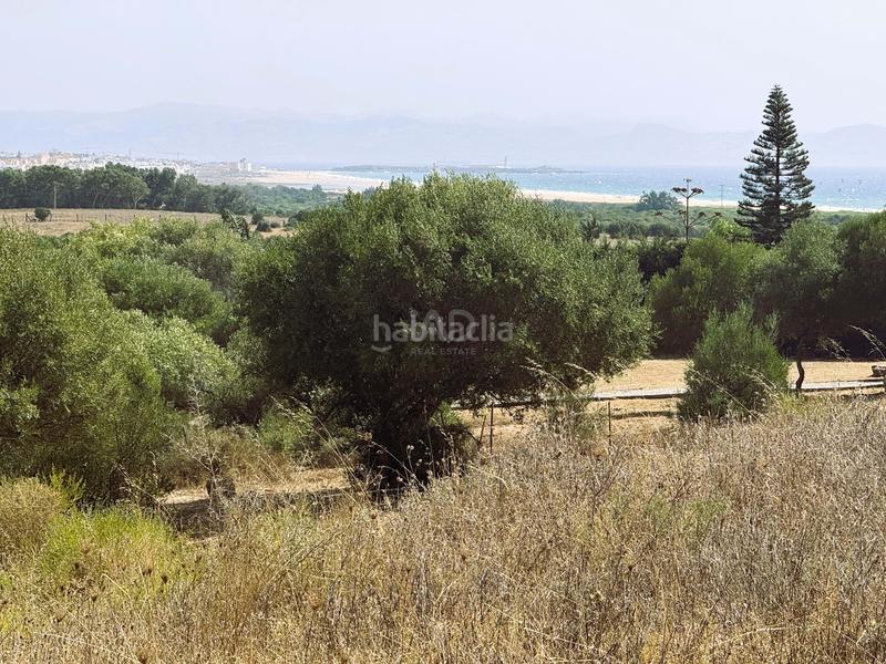 Foto c27139a4-0a45-416d-9af2-db17de2ff416. Landgut in Tarifa ciudad Tarifa