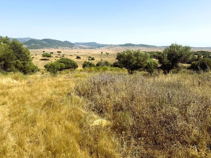 Foto eb6a78bb-788b-4ac6-804d-2084f12322bc. Landgut in Tarifa ciudad Tarifa