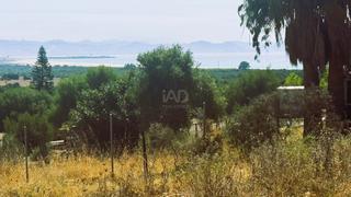 Landgut in Tarifa Ciudad