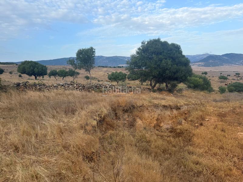 Foto 3108f396-3a11-4ffe-9c5e-3a87fd8e269e. Propriété dans Tarifa ciudad Tarifa