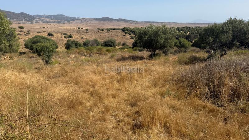 Foto 43108c40-a6e9-4a7d-858c-a8129a9e3e43. Finca rústica en Tarifa ciudad Tarifa