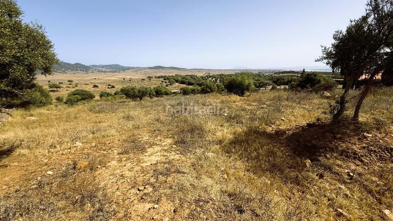 Foto 6dbbffb3-6075-4075-90ee-4de9347c43b9. Finca rústica en Tarifa ciudad Tarifa