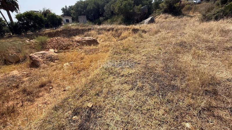 Foto 9442d387-404a-453b-934a-23c4c7e07613. Finca rústica en Tarifa ciudad Tarifa