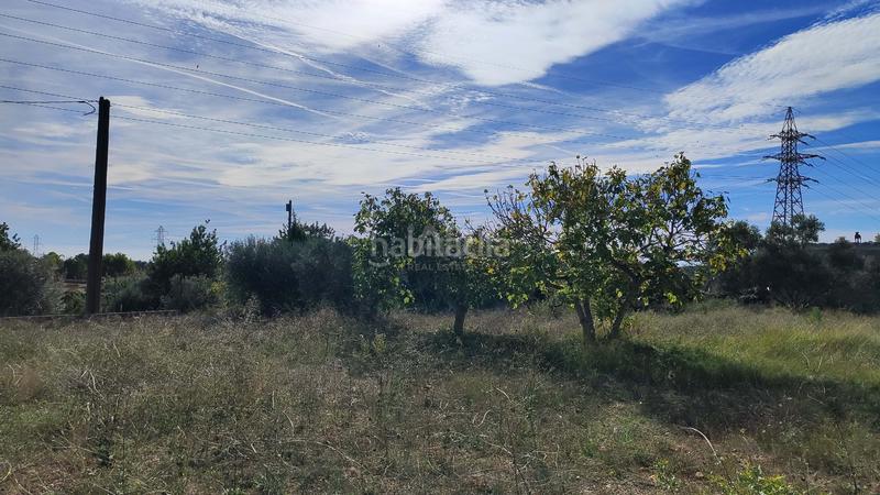 Foto 1968aa9c-e5d4-43be-b346-d71feff8a9f2. Finca rústica en Nord Vilanova i la Geltrú